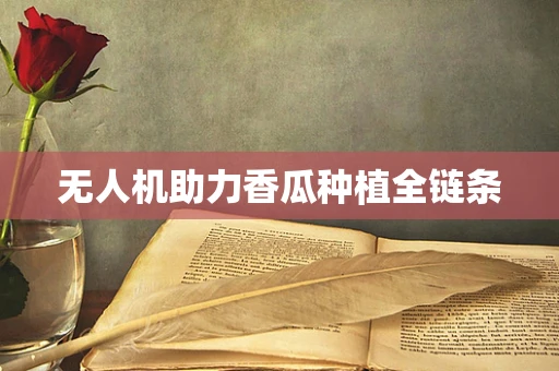 无人机助力香瓜种植全链条