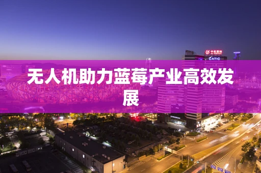 无人机助力蓝莓产业高效发展