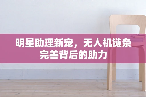 明星助理新宠，无人机链条完善背后的助力