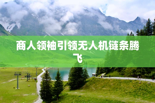 商人领袖引领无人机链条腾飞