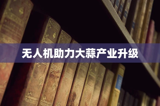 无人机助力大蒜产业升级