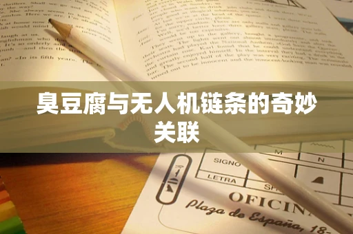 臭豆腐与无人机链条的奇妙关联
