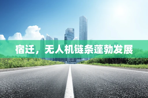宿迁，无人机链条蓬勃发展
