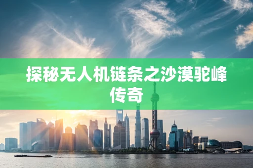 探秘无人机链条之沙漠驼峰传奇