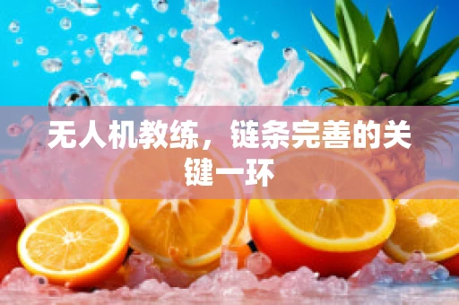 无人机教练，链条完善的关键一环