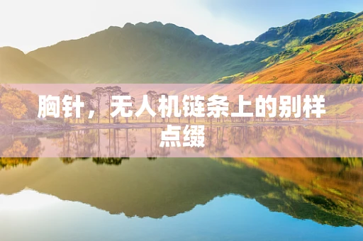 胸针，无人机链条上的别样点缀