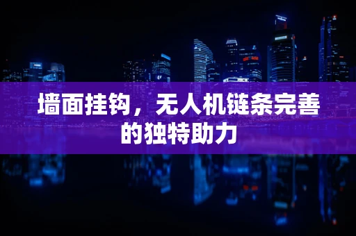 墙面挂钩，无人机链条完善的独特助力