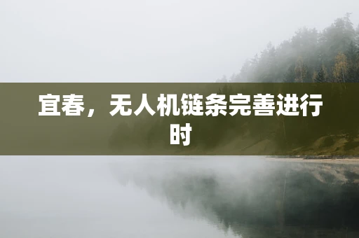 宜春，无人机链条完善进行时