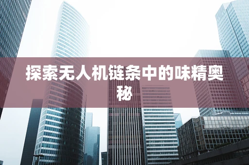 探索无人机链条中的味精奥秘