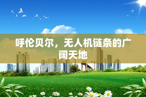 呼伦贝尔，无人机链条的广阔天地