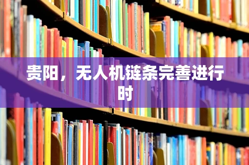 贵阳，无人机链条完善进行时