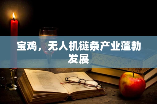 宝鸡，无人机链条产业蓬勃发展