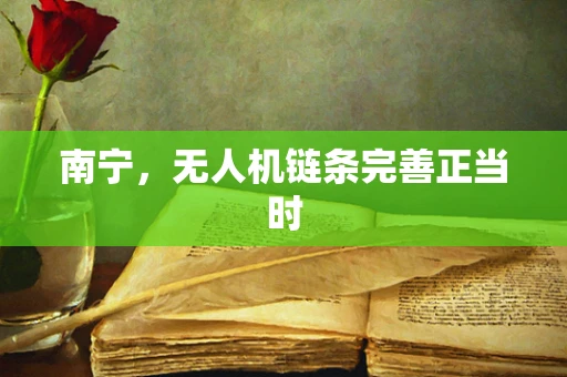 南宁，无人机链条完善正当时