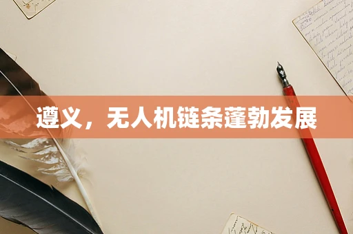 遵义，无人机链条蓬勃发展