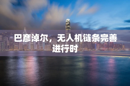 巴彦淖尔，无人机链条完善进行时