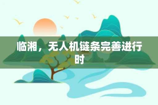 临湘，无人机链条完善进行时