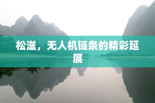 松滋，无人机链条的精彩延展