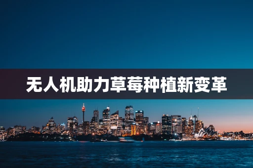 无人机助力草莓种植新变革