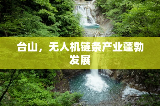 台山，无人机链条产业蓬勃发展