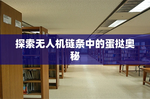 探索无人机链条中的蛋挞奥秘