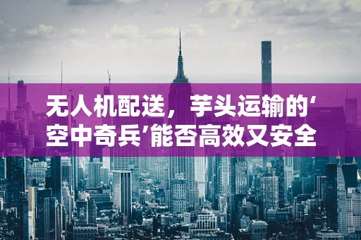 无人机配送，芋头运输的‘空中奇兵’能否高效又安全？