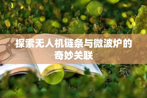 探索无人机链条与微波炉的奇妙关联