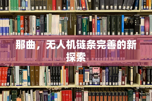 那曲，无人机链条完善的新探索