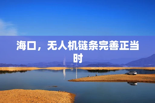 海口，无人机链条完善正当时