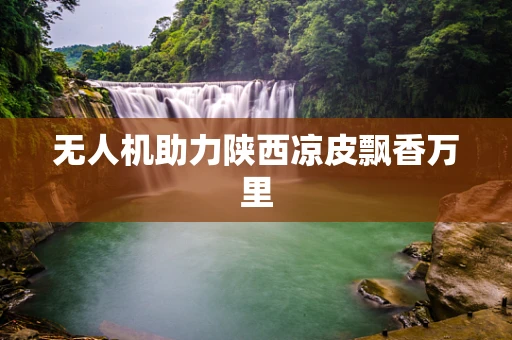 无人机助力陕西凉皮飘香万里