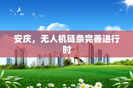 安庆，无人机链条完善进行时