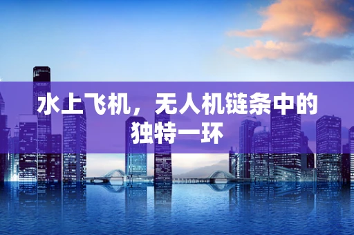 水上飞机，无人机链条中的独特一环