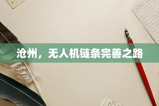 沧州，无人机链条完善之路