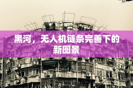 黑河，无人机链条完善下的新图景