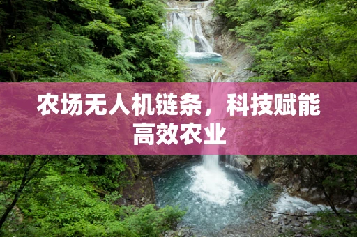 农场无人机链条，科技赋能高效农业