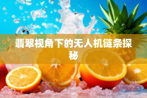 翡翠视角下的无人机链条探秘