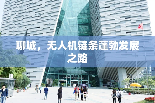 聊城，无人机链条蓬勃发展之路