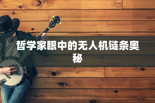 哲学家眼中的无人机链条奥秘