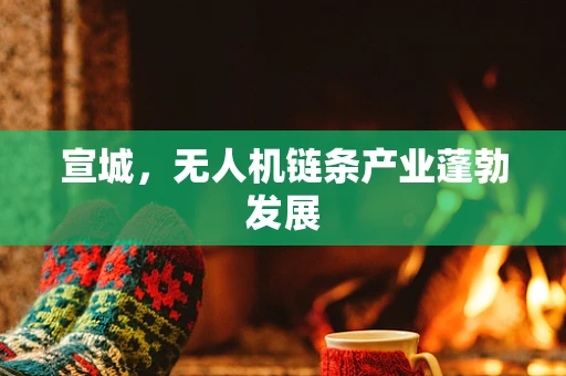 宣城，无人机链条产业蓬勃发展