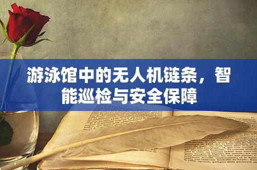 游泳馆中的无人机链条，智能巡检与安全保障