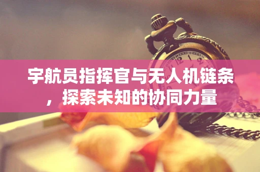 宇航员指挥官与无人机链条，探索未知的协同力量