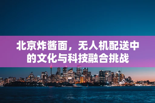 北京炸酱面，无人机配送中的文化与科技融合挑战