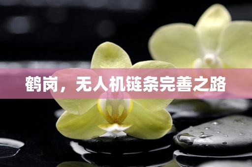 鹤岗，无人机链条完善之路