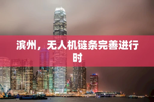 滨州，无人机链条完善进行时