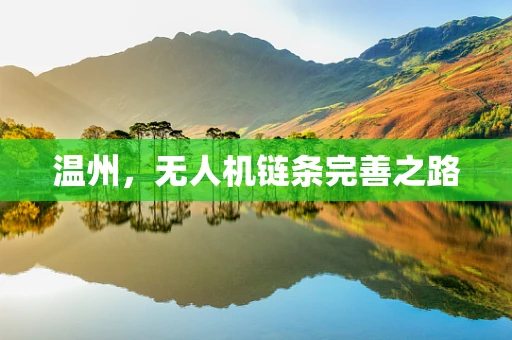 温州，无人机链条完善之路