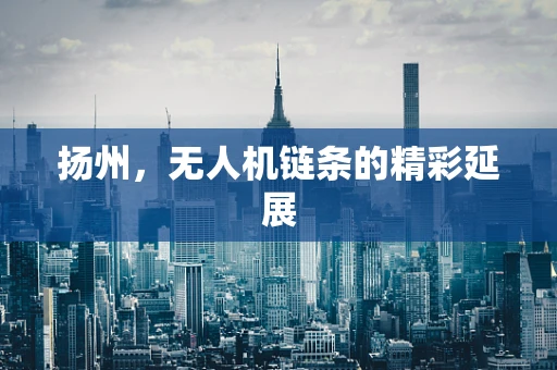 扬州，无人机链条的精彩延展