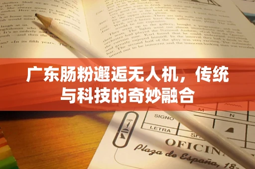 广东肠粉邂逅无人机，传统与科技的奇妙融合