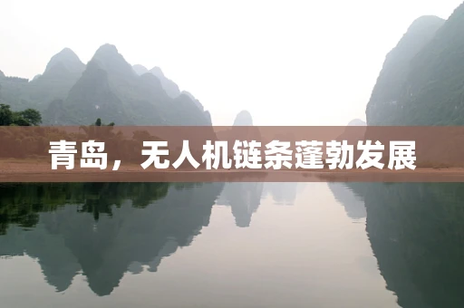 青岛，无人机链条蓬勃发展