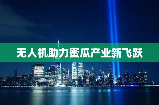 无人机助力蜜瓜产业新飞跃