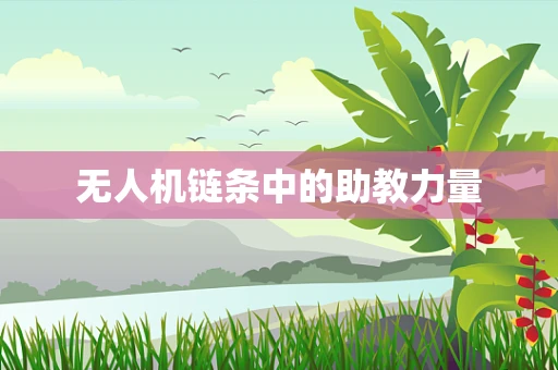 无人机链条中的助教力量