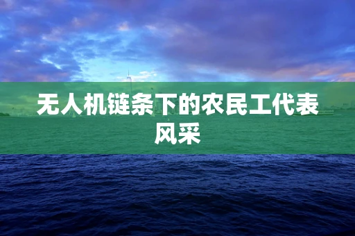 无人机链条下的农民工代表风采